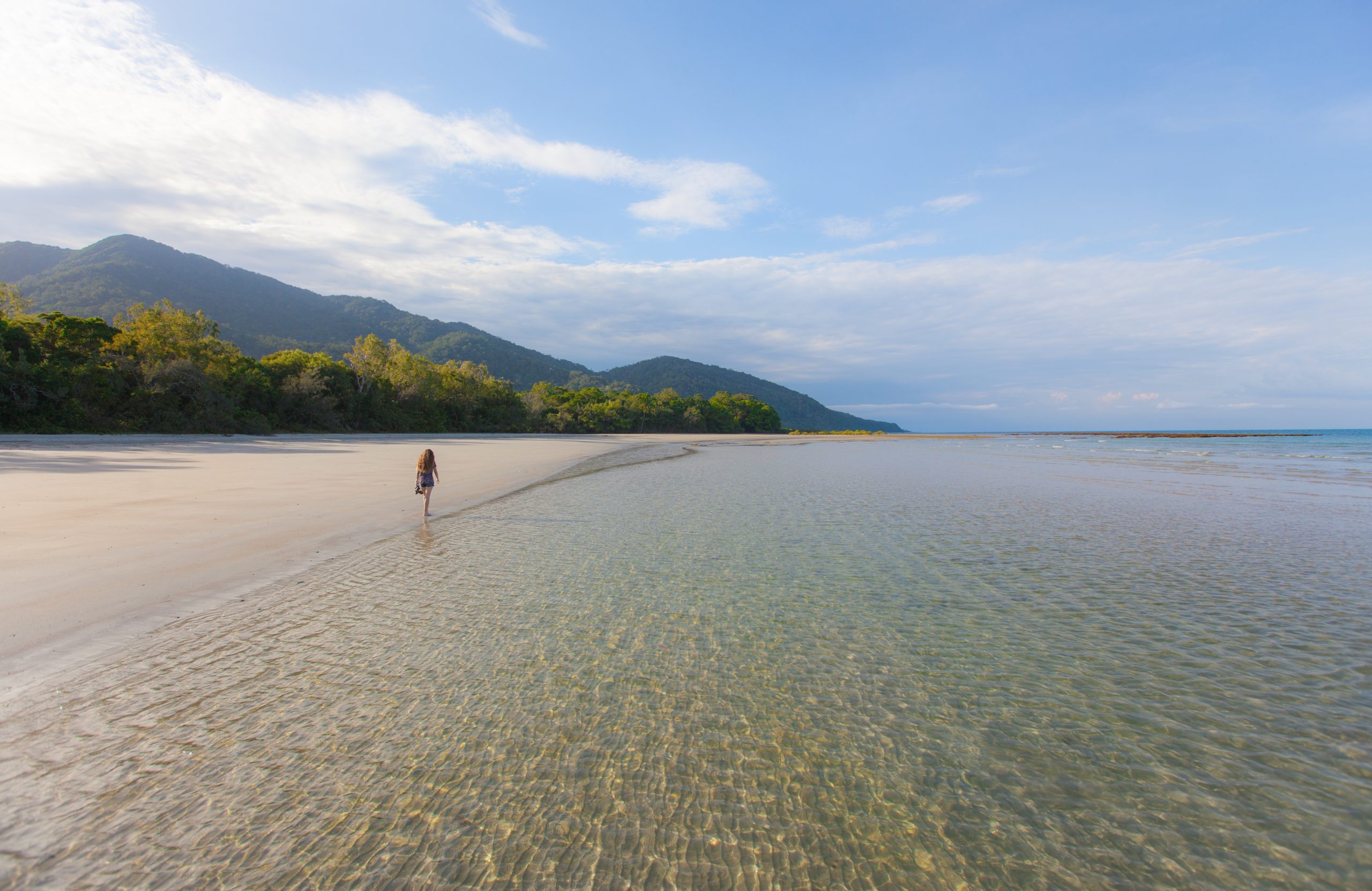 Tropic Wings - Beach- Cape Tribulation, Daintree & Wildlife [TCT]