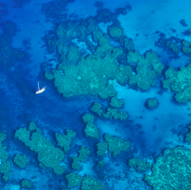 Far North Queensland Great Barrier Reef. Photo credit @ensup_photo on Instgram