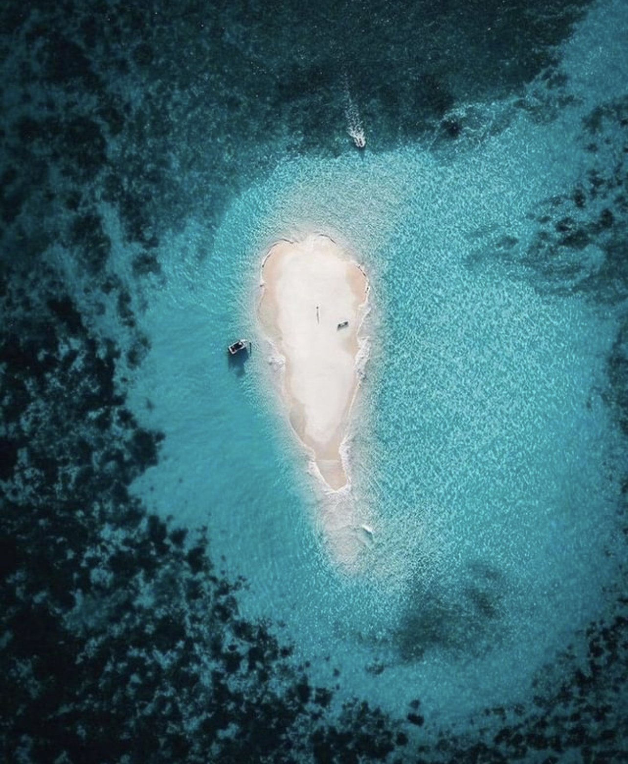 Port Douglas reef. Photo credit @ollygaspar on Instagram