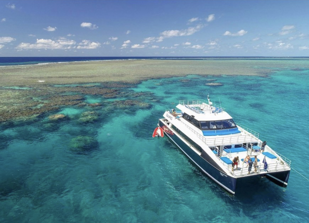 Calypso in the reef. Photo credit @port.douglas on Instagram