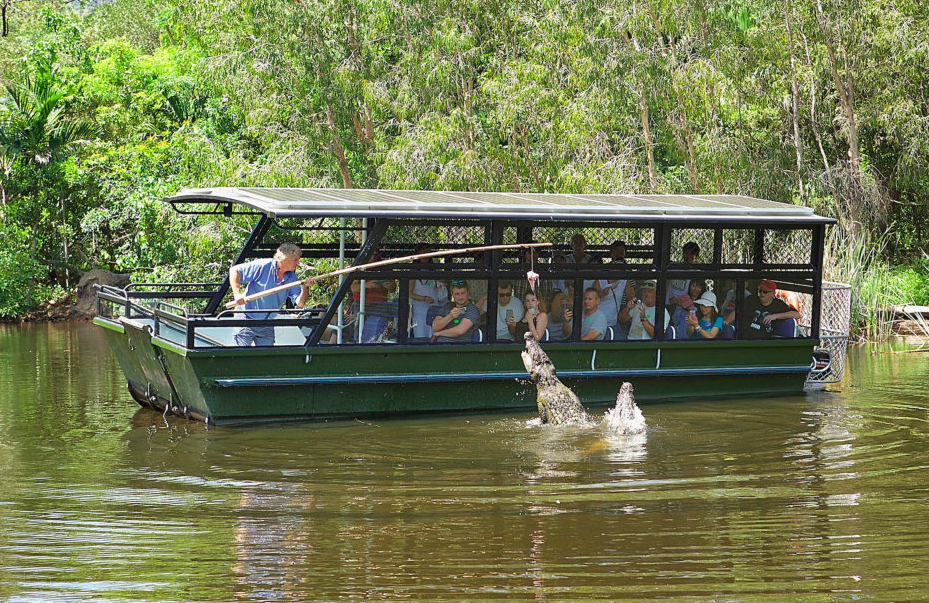 Boat Cruise. Hartley’s Crocodile Adventure