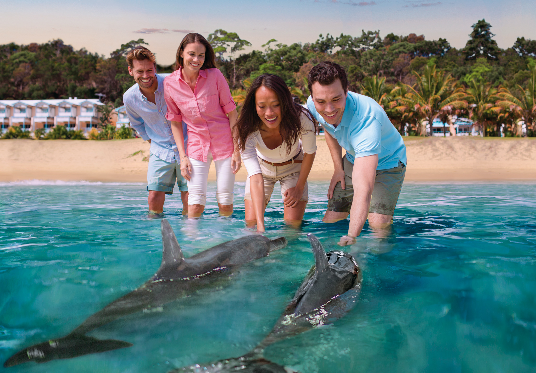 dolphin feeding moreton island.Photo credit:＠Tourism Australia on website