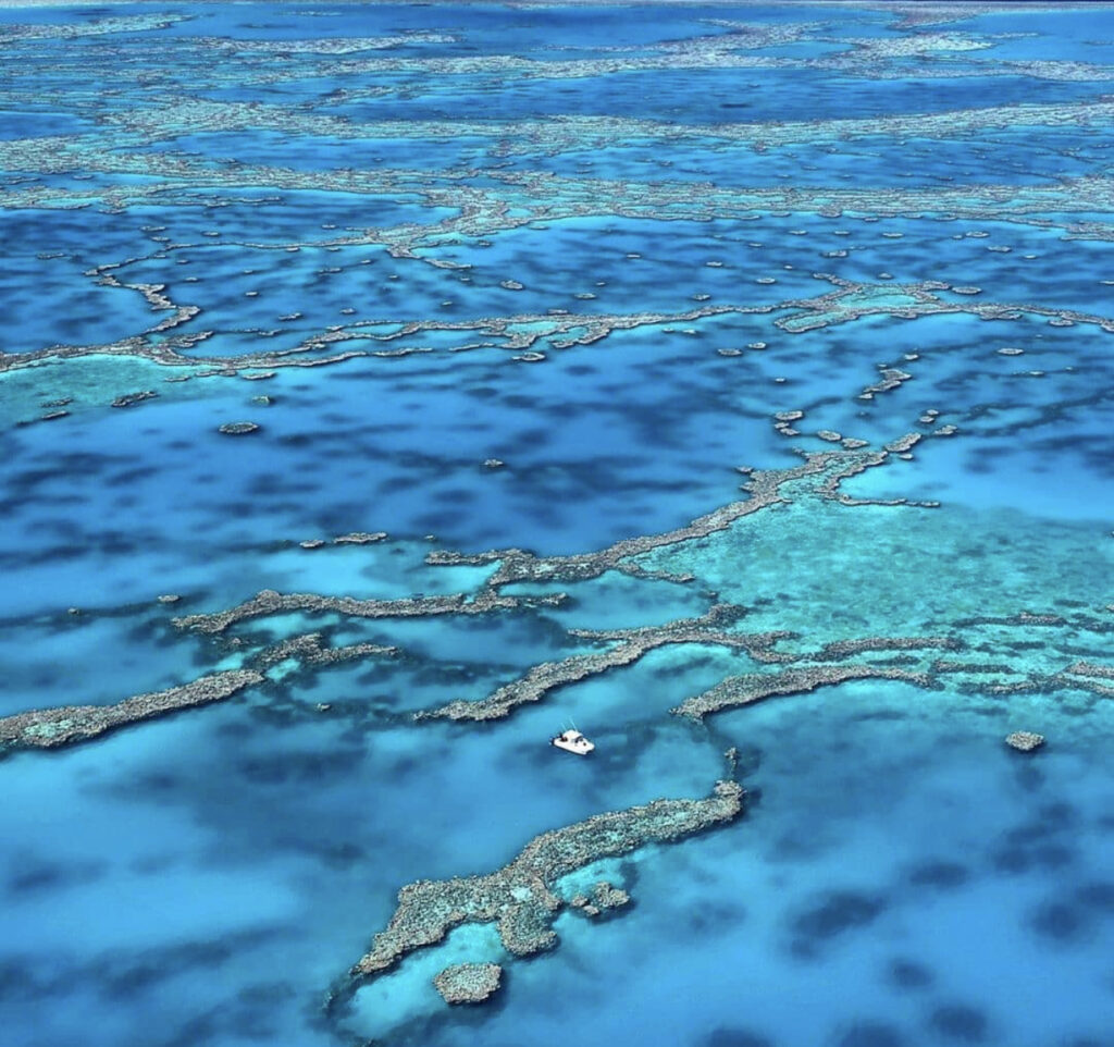 Whitsundays GBR