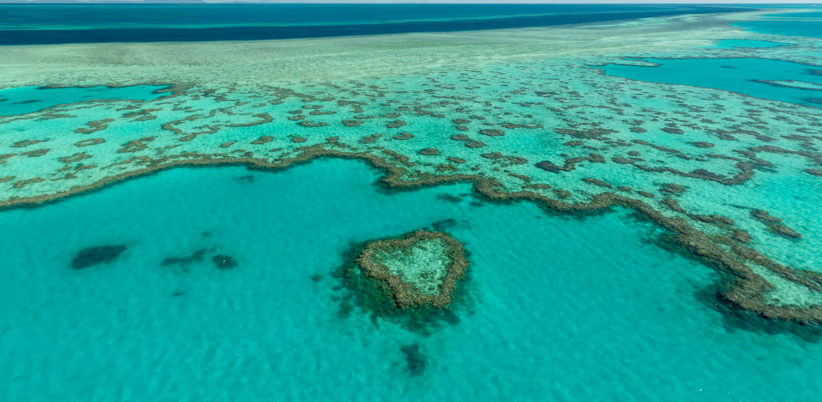 airlie beach helicopters Hardy reef in Whitsundays