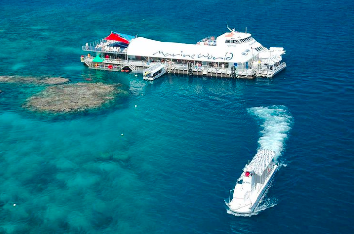 Marine World pontoon. Photo credit @reefmagiccairns on Instagram