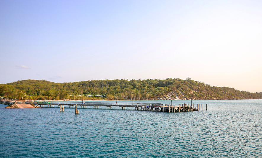 Fraser Island Jetty. Photo credit to website - https://www.bring-you.info/zh-tw/kingfisher-bay-resort