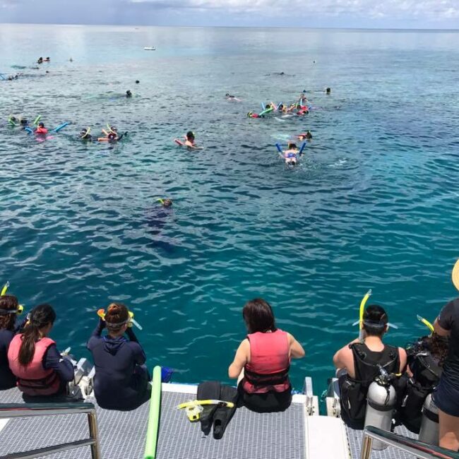 Down Under Cruise Snorkeling area