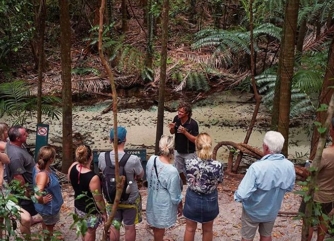 Forest. photo credit @discoveryfraserisland on instagram