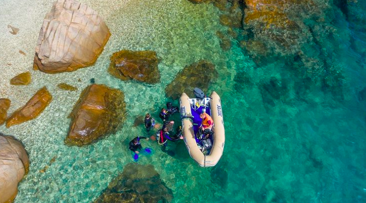 snorkel spot 2. Photo credit @summertimewhitsundays on Instagram