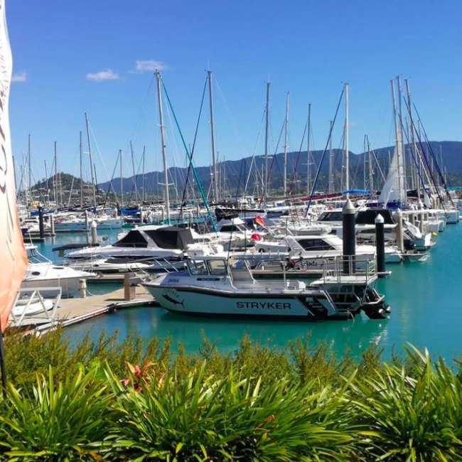 Airlie Beach Fishing Charters at Abel point marina