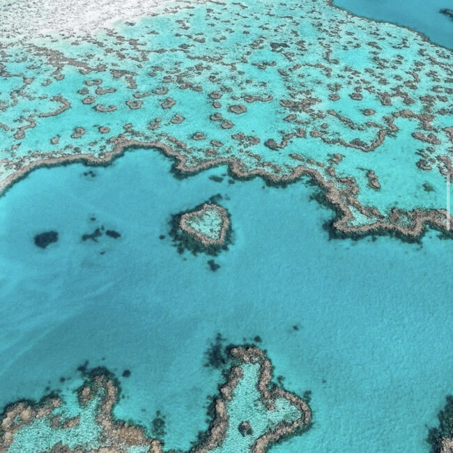 The heart reef