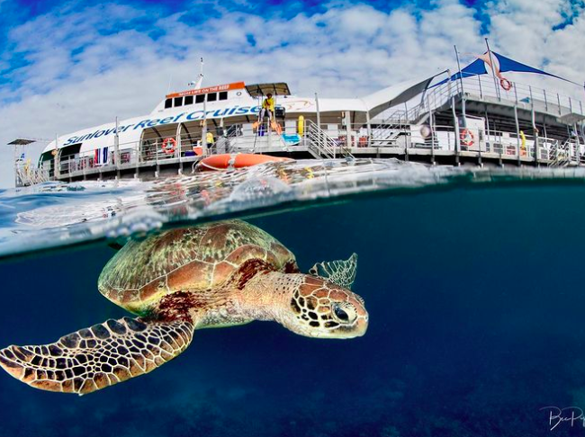 Sunlover cruise. Photo credit @ bec.piper.photography on Instagram