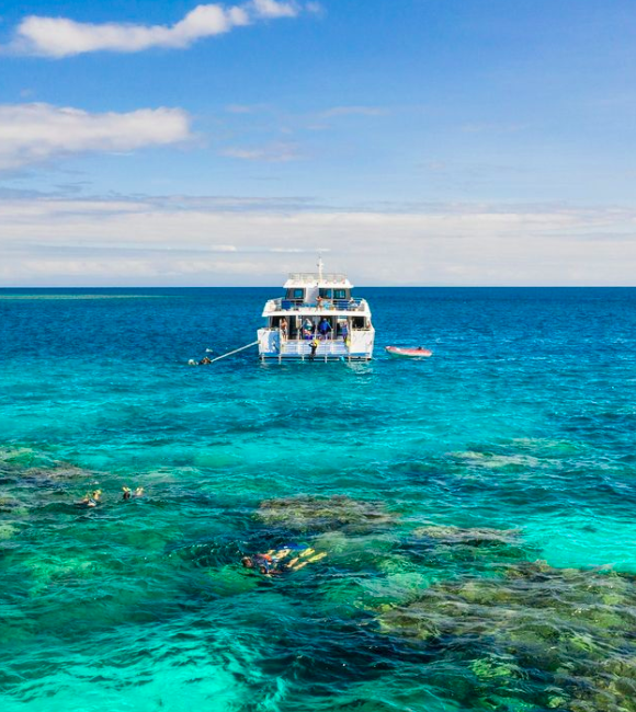 Calypso - snorkeling in the reef. Photo credit @calypsoreefcruises on Instagram