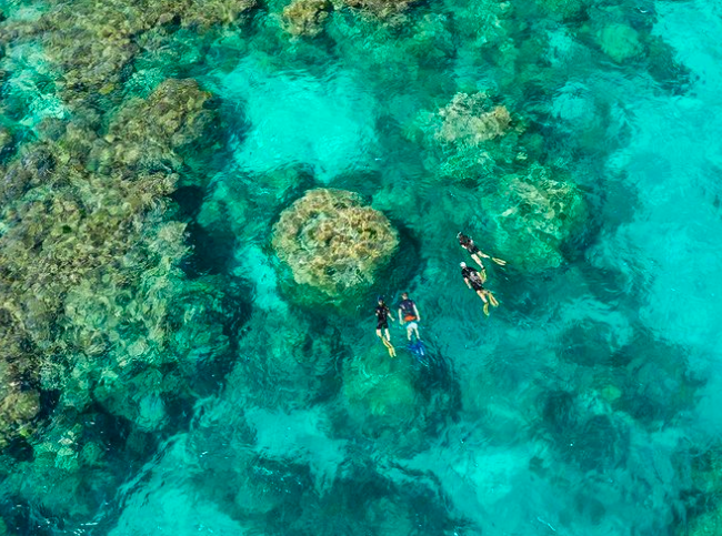 snorkeling in the reef at Port Douglas. Photo credit @calypsoreefcruises on Instagram