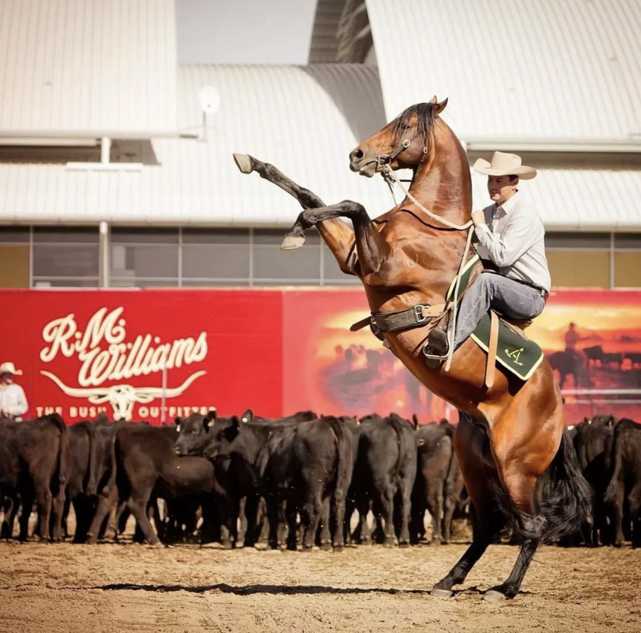 Horse Riding show. Photo credit @australianoutbackspectacular on Instagram