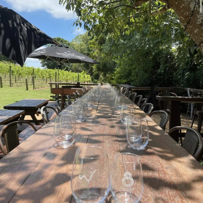 Tasting wine in Witches Falls Winery at Tamborine Mountain. Credits to @thevinobus on Instagram