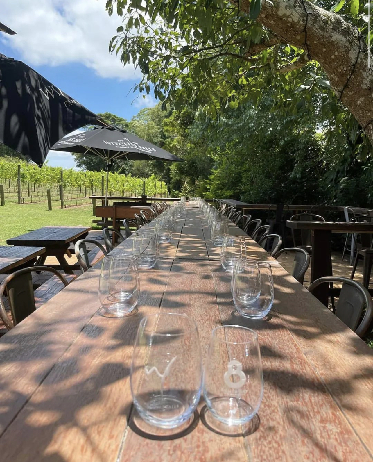 Tasting wine in Witches Falls Winery at Tamborine Mountain. Credits to @thevinobus on Instagram