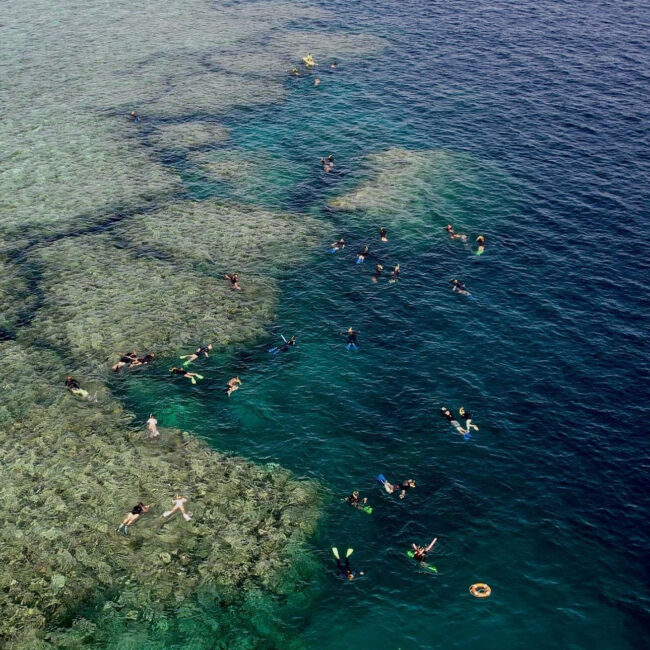 Explore Group Hamilton - snorkel in the great barrier reef