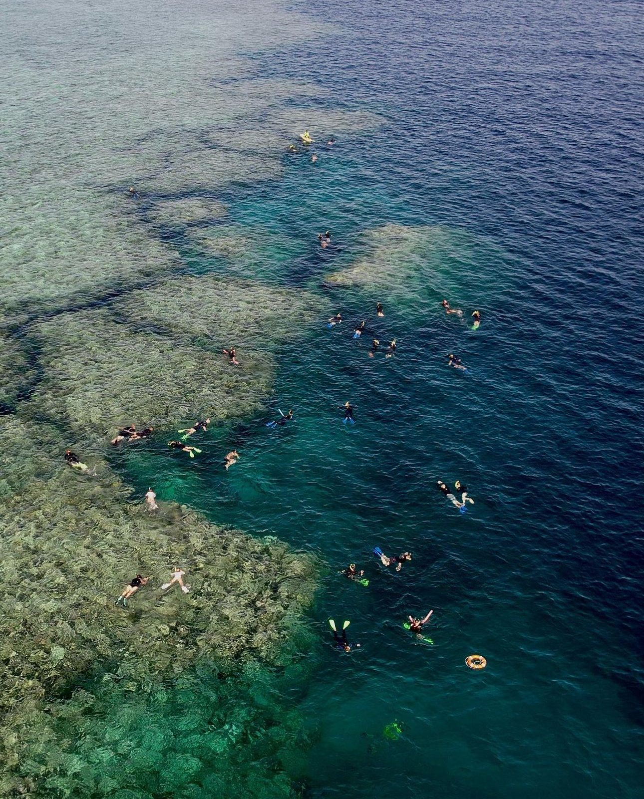 Explore Group Hamilton - snorkel in the great barrier reef